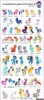 A Comprehensive Guide to His Height