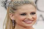 All About Sarah Gallup: a Journey Through Her Life and Career