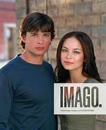 Did Tom Welling and Kristin Ever Date? Unraveling the Mystery