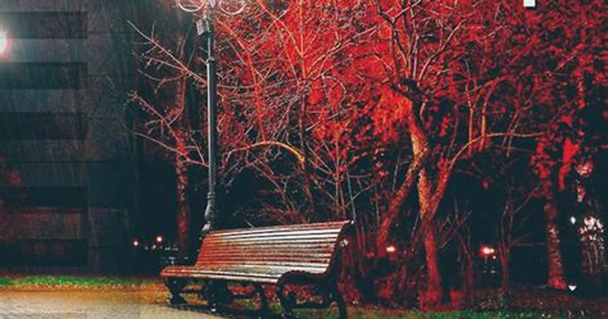 Discovering the Enigmatic World of Shophie Rain Por