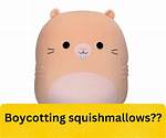 Do Squishmallows Support Israel? Uncovering the Truth