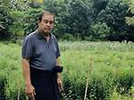 Exploring the Enigmatic World of Neighbours Kpkuang