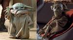 Fase Yoda Age Real Name: How Old Is He?