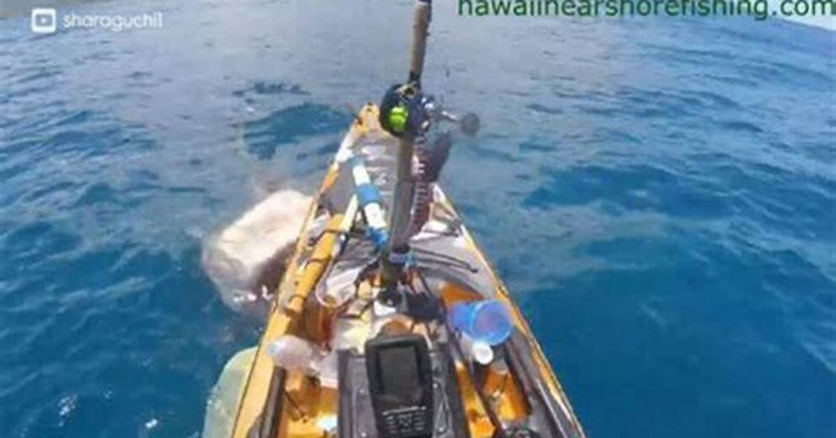 Fisherman on Kayak Has Lucky Escape off Oahu, Hawaii