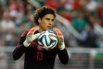 How Much Does Memo Ochoa Make ·