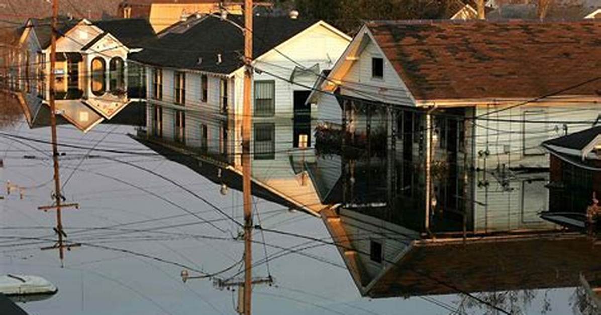 Hurricane Katrina Survivor's Shocking Story of Survival and Resilience