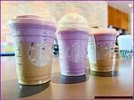 Indulge in the Delight of Starbucks Bogo Drinks: a Treat for Every Sip