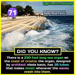 Interesting Facts That You Should Know |