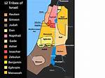 Judah Our Tribe of Many |
