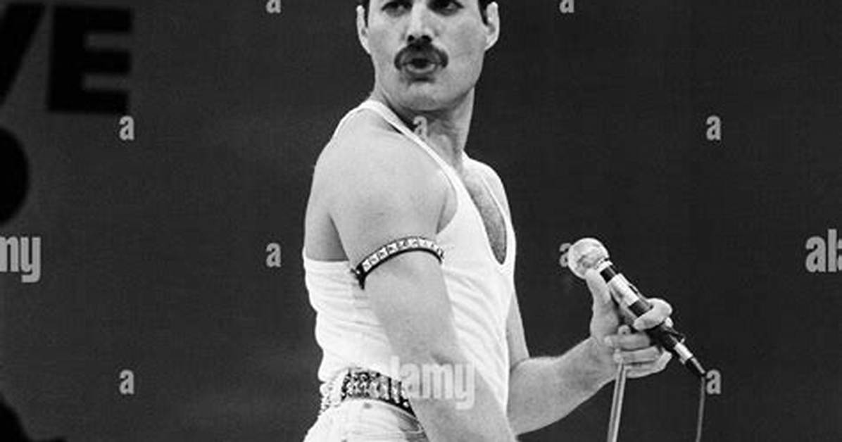 Lead Singer of Queen: the Iconic Journey of Freddie Mercury