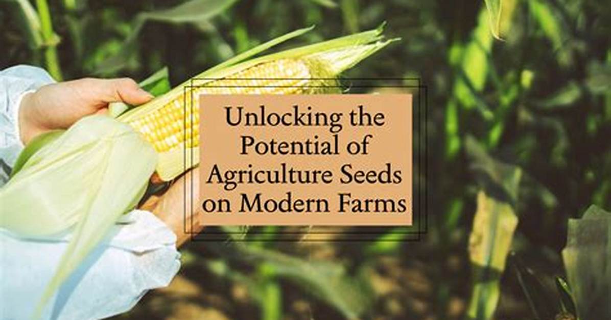Mayseeds: Unlocking the Potential of Sustainable Agriculture
