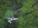 Obituary: Nick Popovich Dead or Alive? Plane Crash -Everything to Know About the Actor