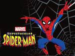 Sophia's Spectacular Adventure: the Spider-Man Video Phenomenon