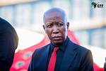 The Ultimate Guide to Julius Malema's Age