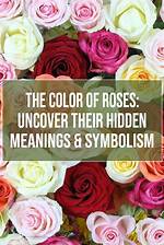Uncover Hidden Meaning Behind the Rose in Lyrics