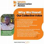 Wildlife Conservation and Reality Tv Star